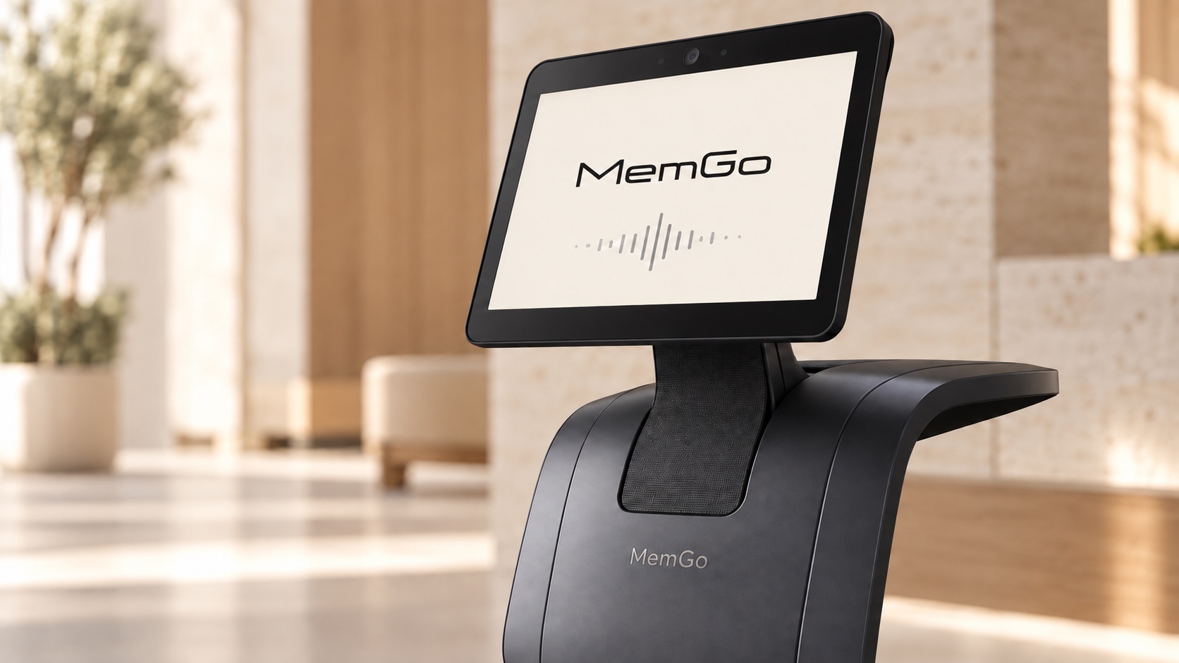 MemGo display and voice interface brand concept